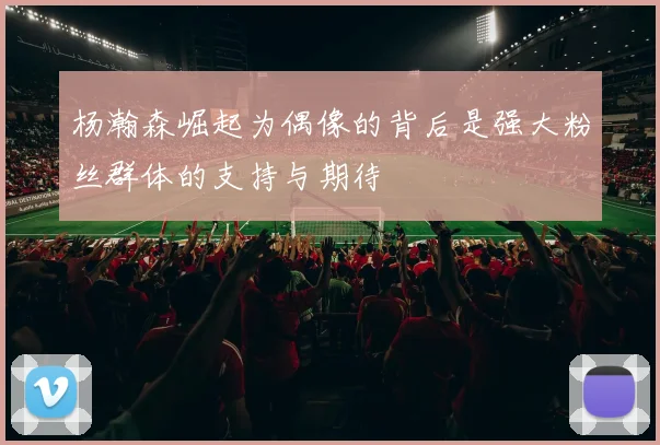 杨瀚森崛起为偶像的背后是强大粉丝群体的支持与期待