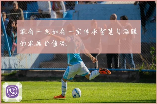 家有一老如有一宝传承智慧与温暖的家庭价值观